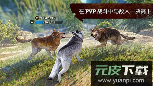 狼族游戏中文版截图3