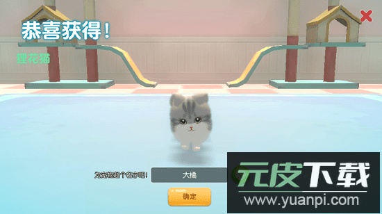 养了个猫最新版本截图3