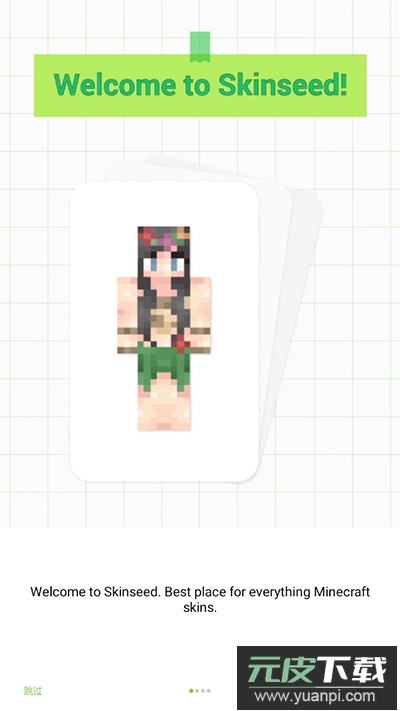 Skinseed128汉化版截图4