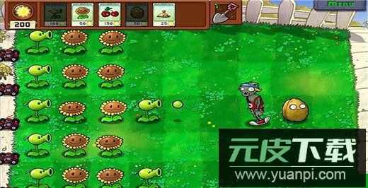 植物大战僵尸2010版本截图3