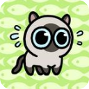 冒险猫正版v1安卓版