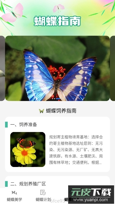 蝴蝶乐刷app官方版截图4