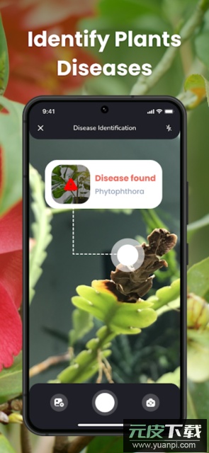 PlantIn花草拍照识别软件手机版截图1