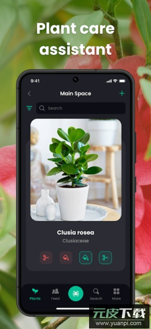 PlantIn花草拍照识别软件手机版截图2