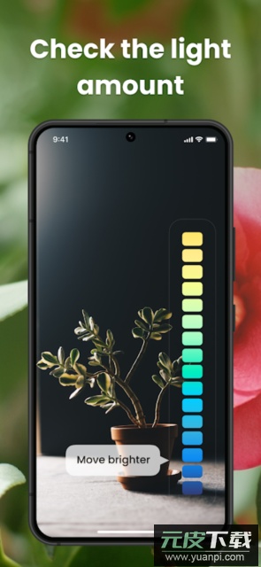 PlantIn花草拍照识别软件手机版截图4
