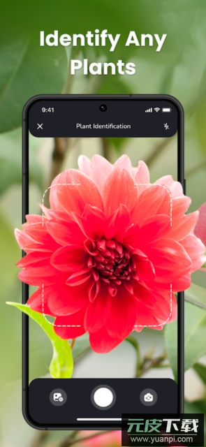PlantIn花草拍照识别软件手机版截图5