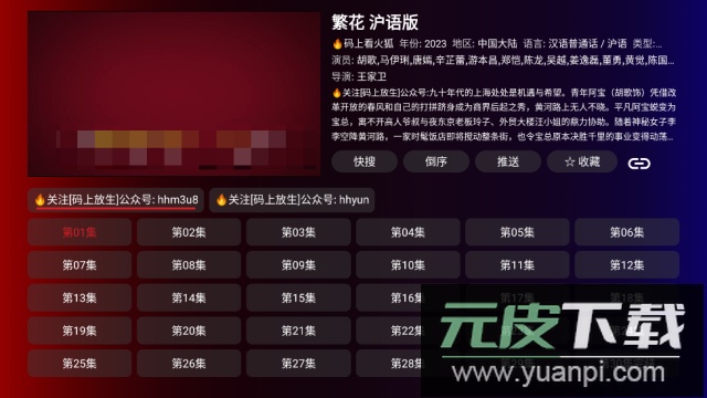 卧龙tv电视版2024版截图3