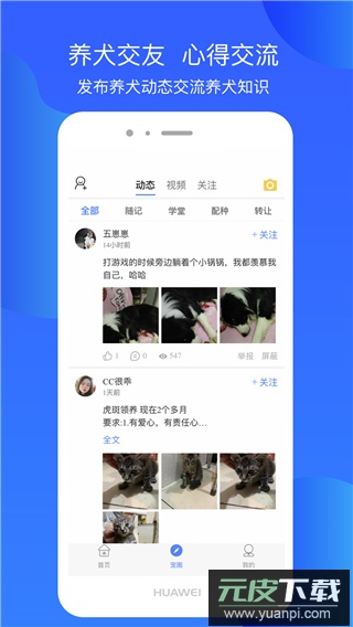 犬卫士app官方版截图2