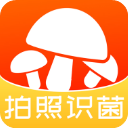 菌窝子app官方版v4.4.1