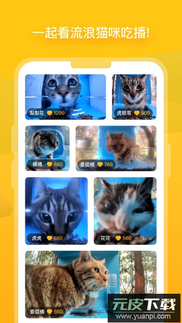 哈置(流浪猫关爱社区)app免费版截图3