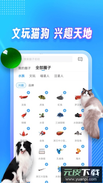 龙巅论坛软件手机版截图1