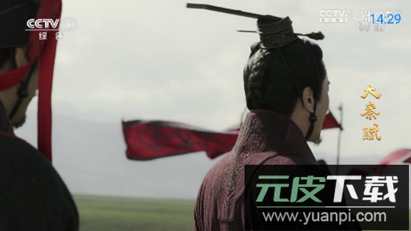 神鸟电视TV版正版软件截图4