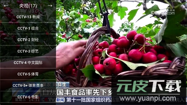 油桃TV官方版下载截图2