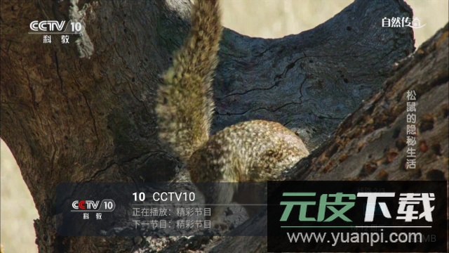 青牛TV电视最新版截图3