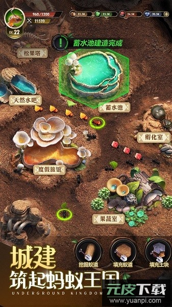 小小蚁国0.1折版截图4