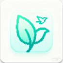 雨露电视TV最新版本v2.5.8