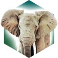 方舟动物园中文版v1.0.6
