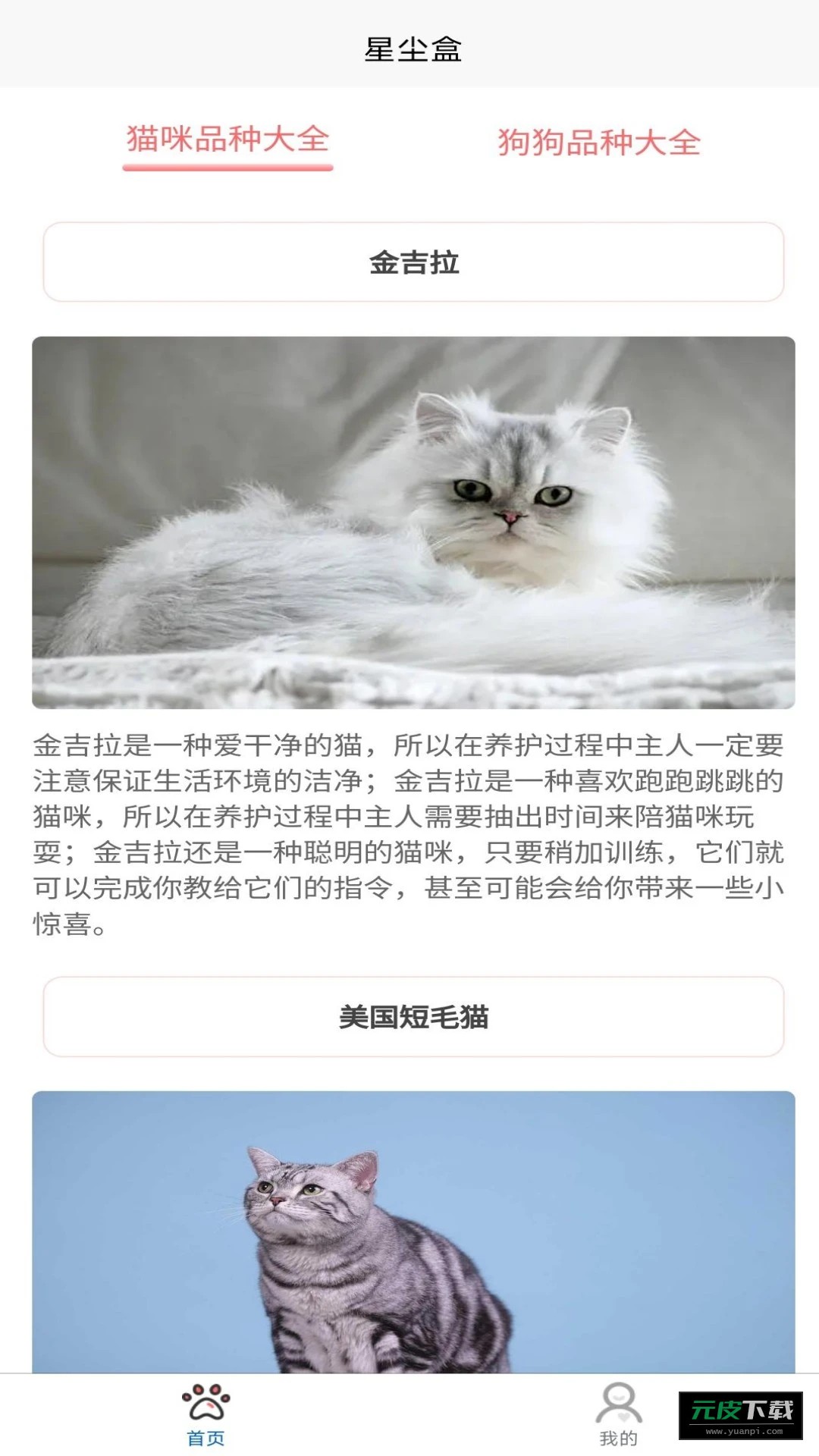 星尘盒截图1