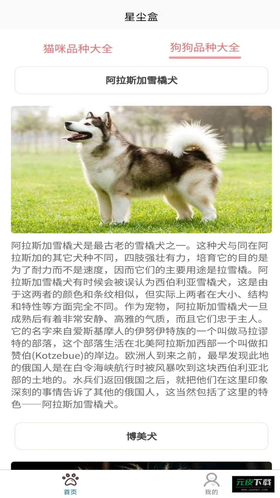 星尘盒截图2