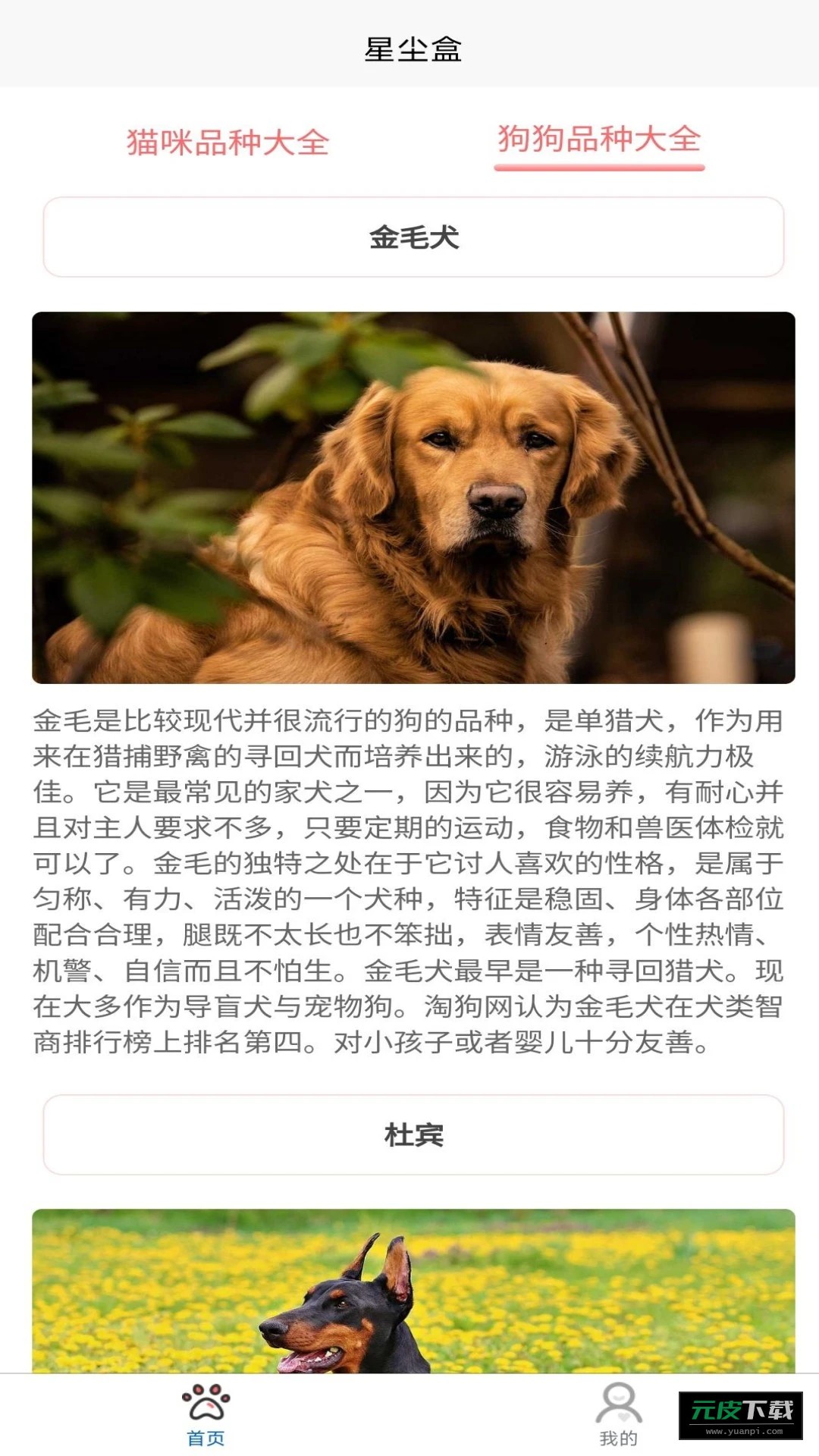 星尘盒截图3