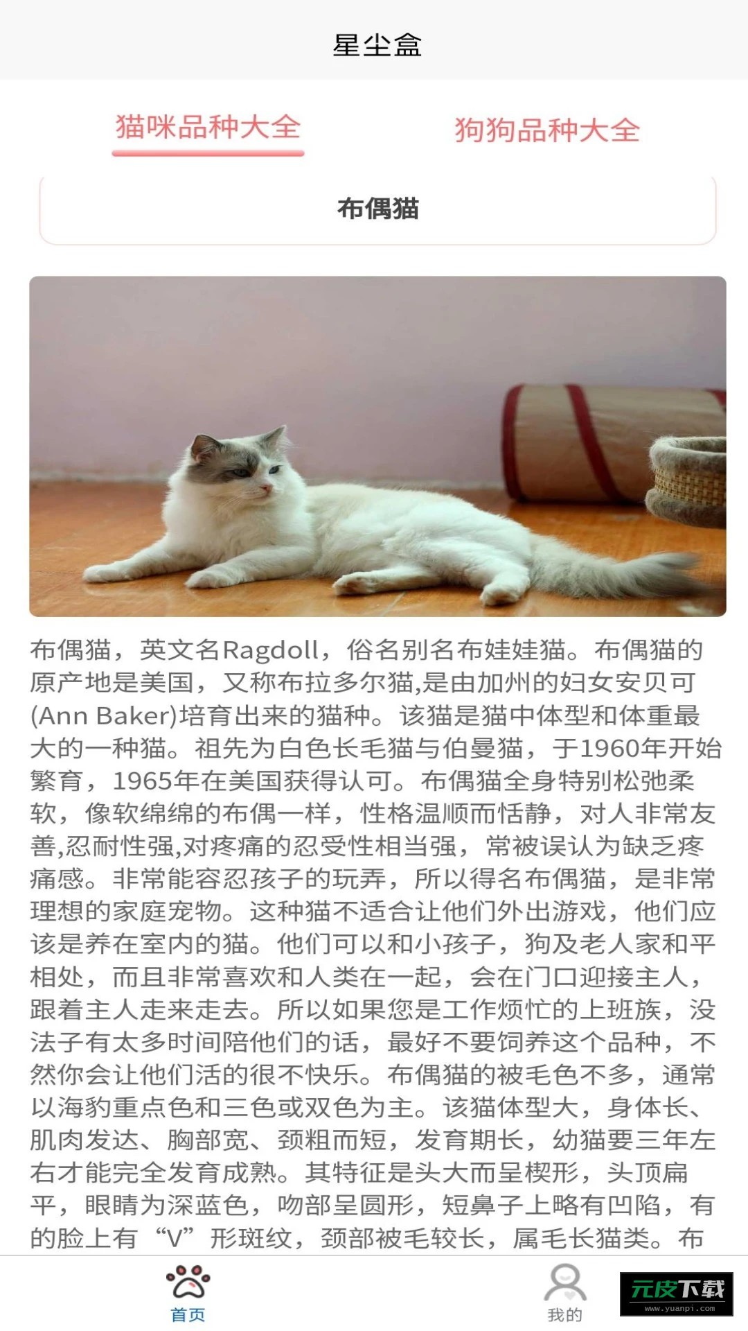 星尘盒截图4