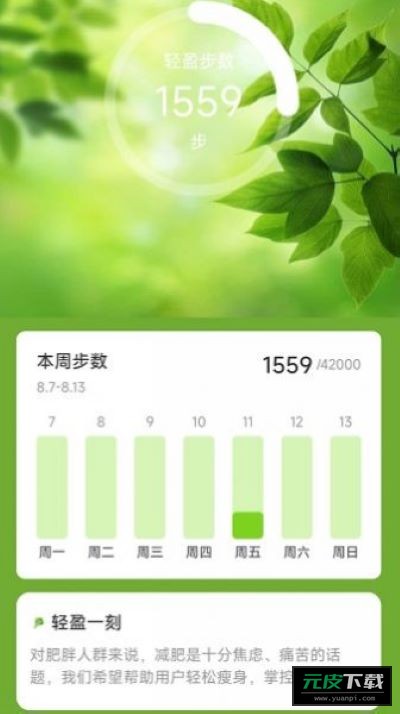 轻盈计步截图2
