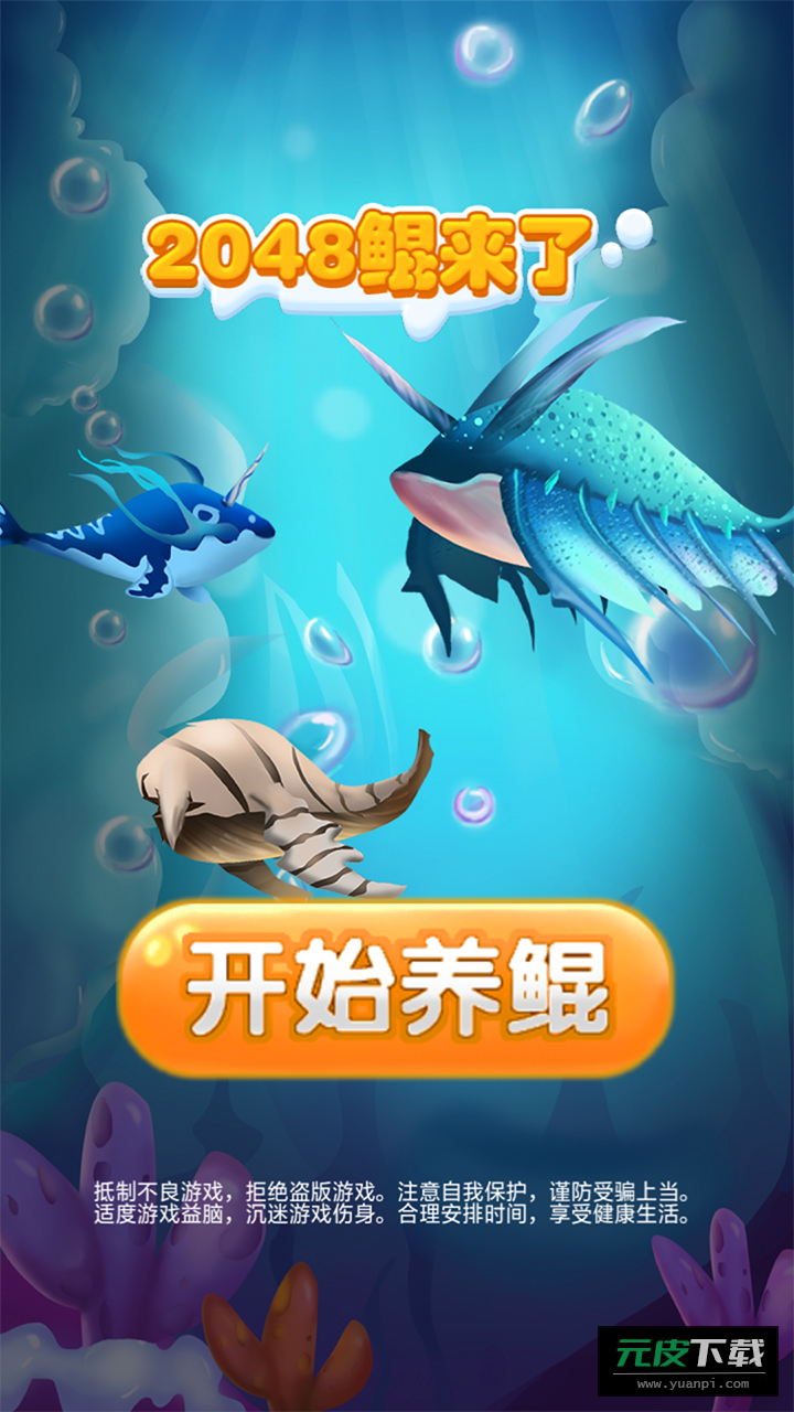 2048鲲来了截图2