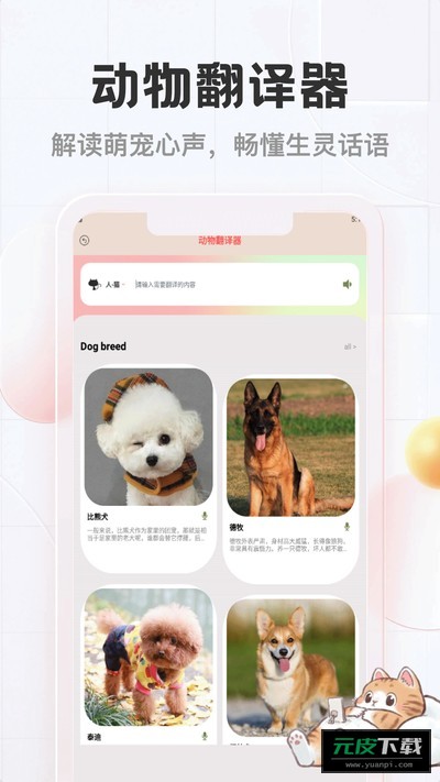 猫猫物语截图4