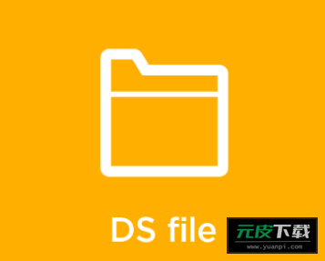 dsfile截图5
