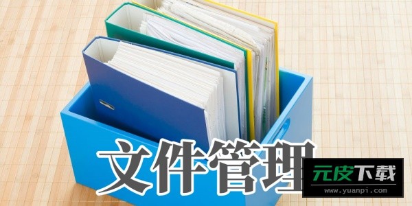 dsfile截图6
