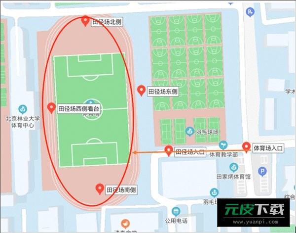 运动世界校园截图6