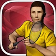 real badmintonv1.0.3