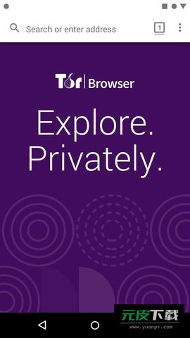 tor brower截图4